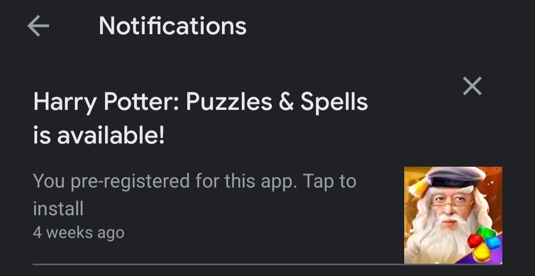 harry potter puzzles and spells2