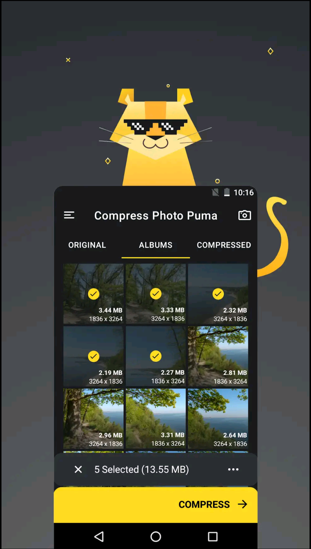 photo puma screenshot 6
