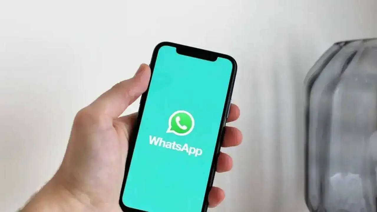whatsapp test file sharing